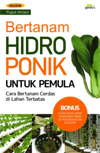 Image of Bertanam Hidroponik Untuk Pemula